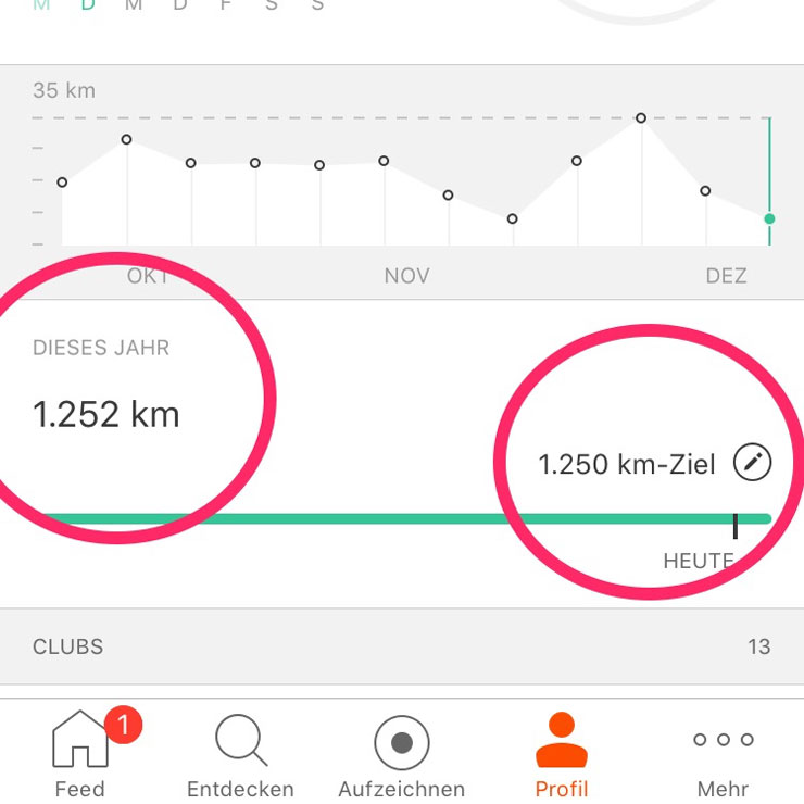 Jahresziel Laufen Strava