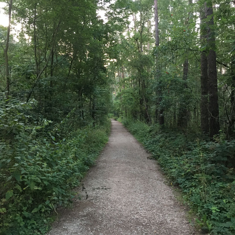 Waldweg