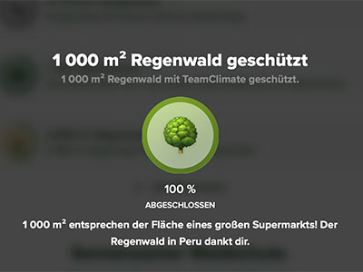 1000 qm Regenwald geschützt 