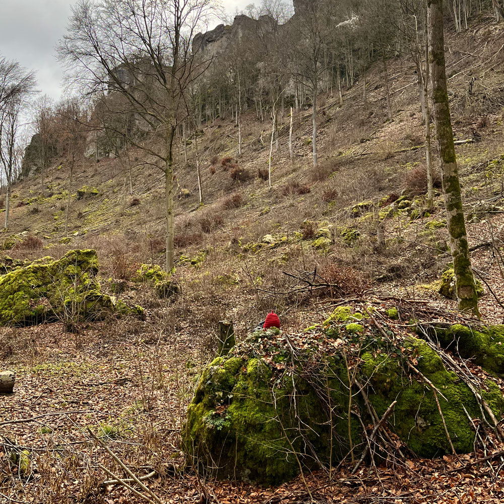 Eine rote Mütze hinter einem Felsen im Wald