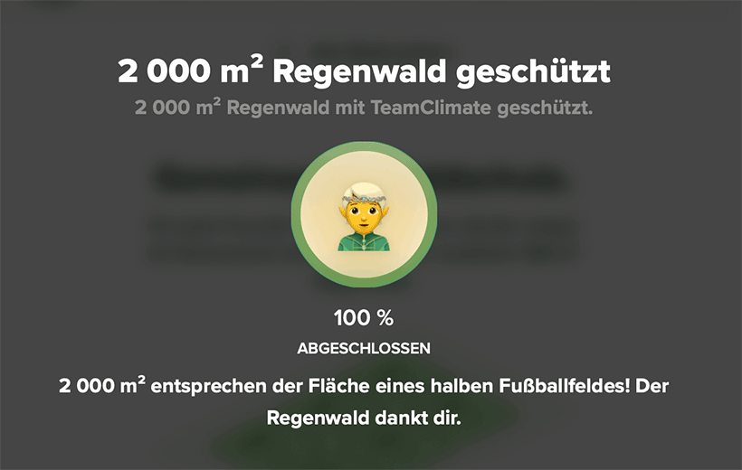 Eine Grafik mit der Aussage: 2000 qm Regenwald mit Team Climate geschützt. 2000qm entsprechen der Fläche eines halben Fußballfeldes